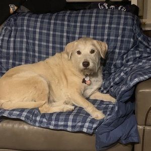 Meet your Posher, Shelly